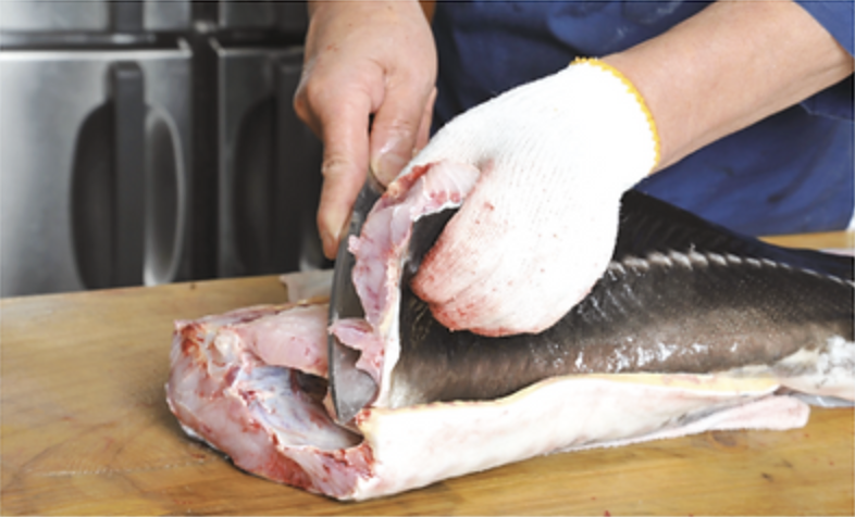 チョウザメの捌き方