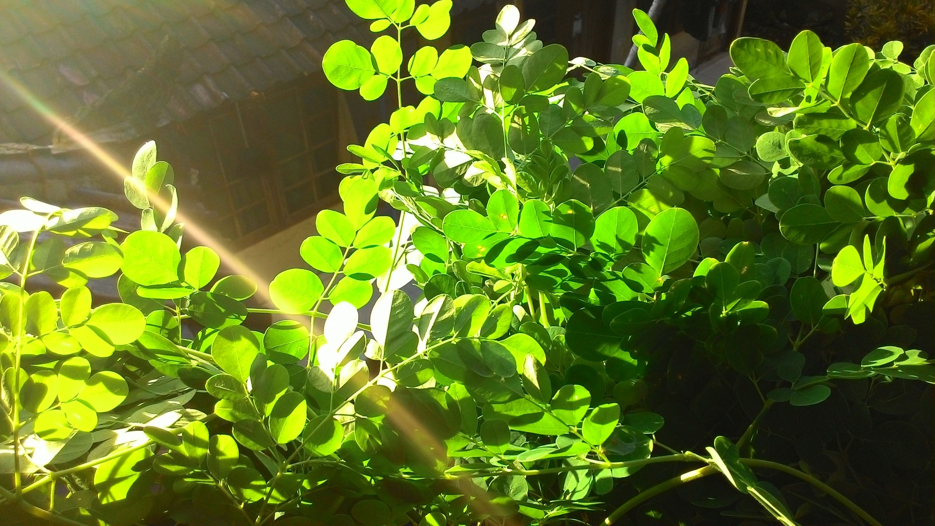 画像に alt 属性が指定されていません。ファイル名: 912f9d_2cb9d180afb04745902b8f92b2c2fa00mv2.jpg